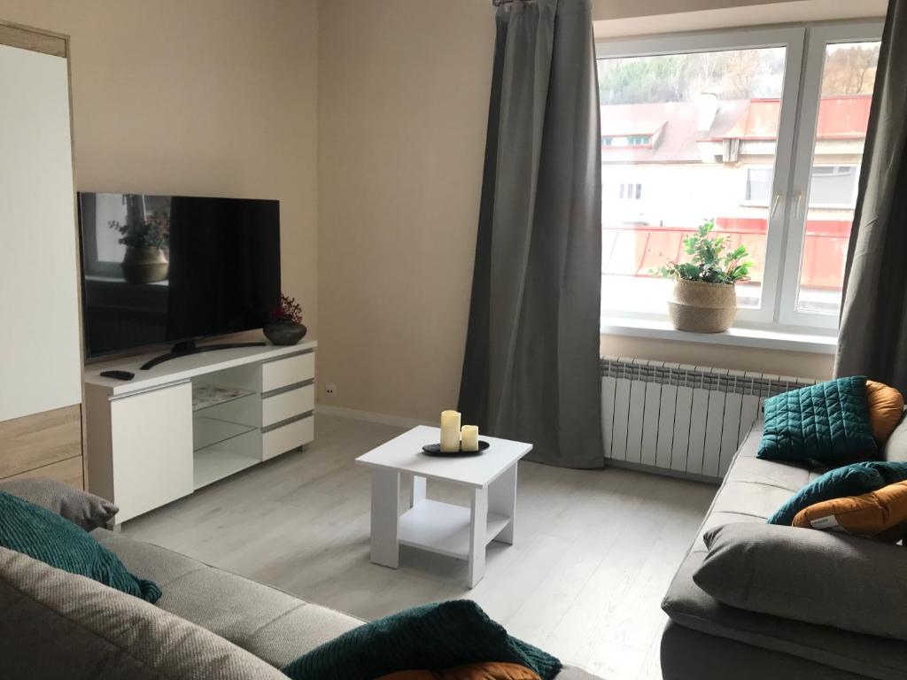 Apartament Vistula Centrum 4 - Standard Apartment
