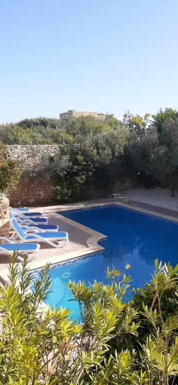 a swimming pool with blue water and some trees at Ta’ Peppi Farmhouse in Qala