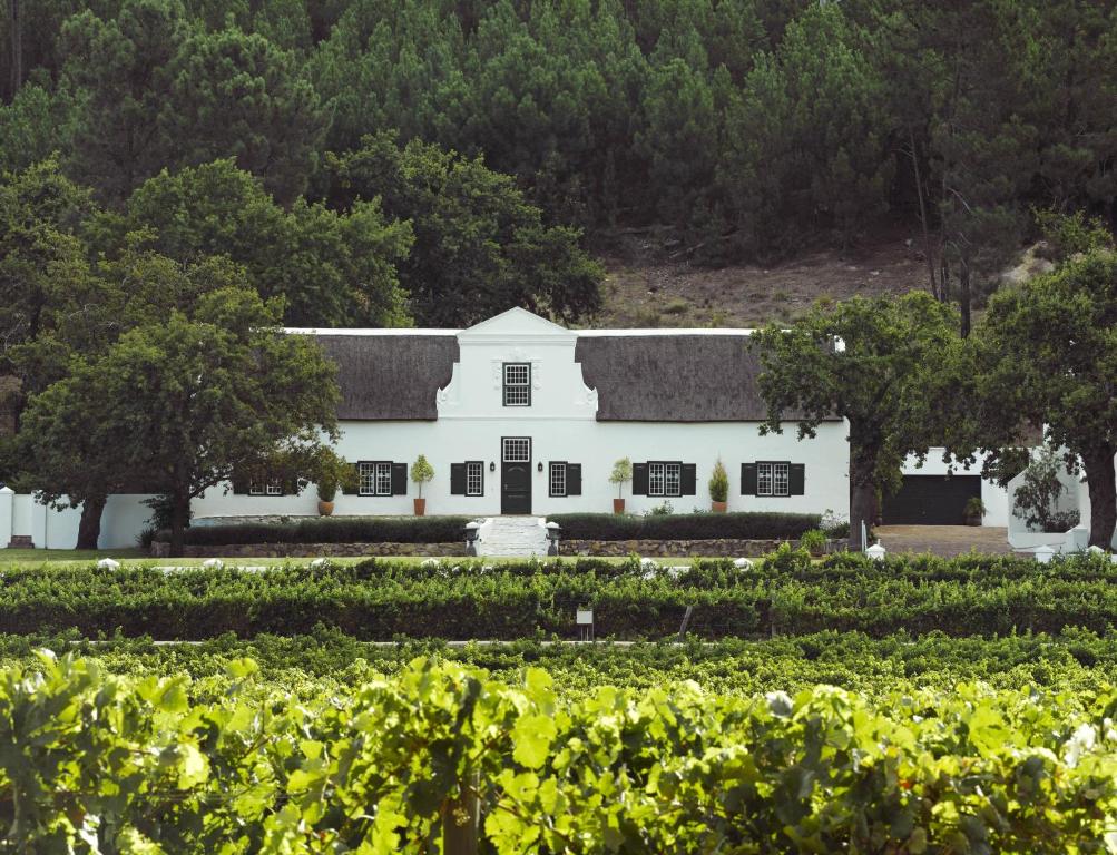 a white house behind a field of vines at Rickety Bridge Manor House in Franschhoek