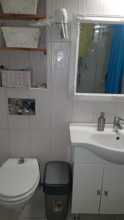 A bathroom at Családi haz