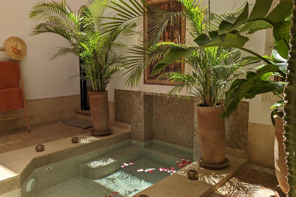 Riad Dar Eternity photo