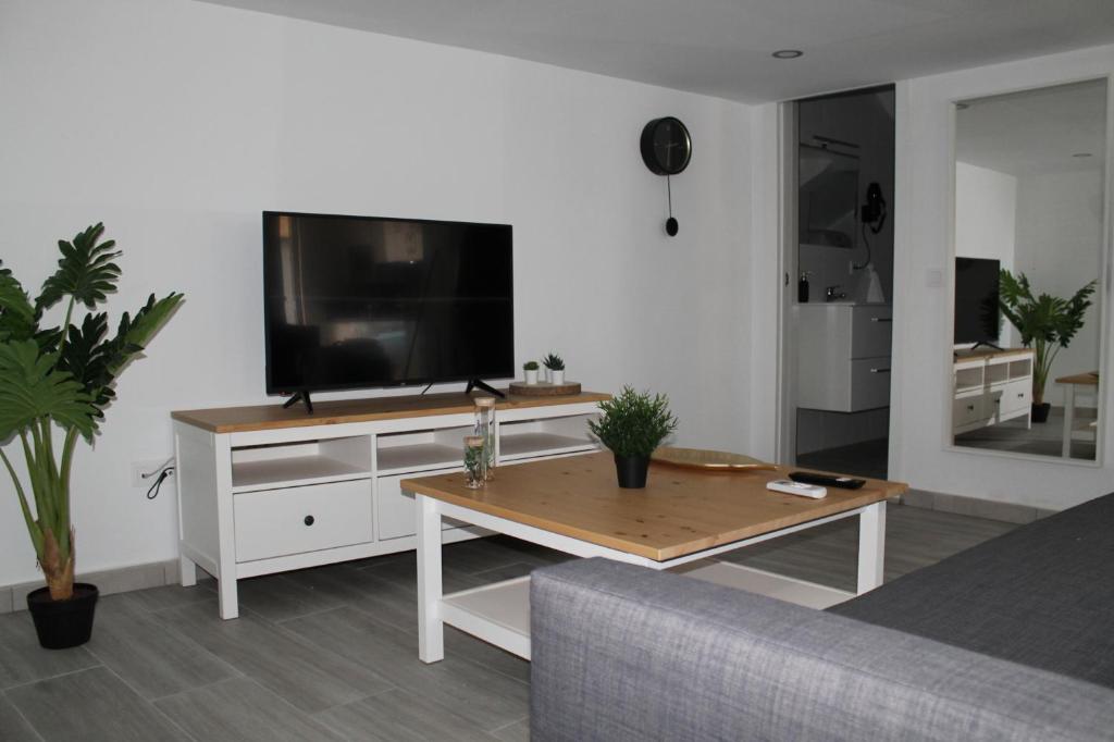 Televízia a/alebo spoločenská miestnosť v ubytovaní Apartamentos los Nidillos