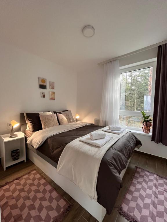 a bedroom with a large bed and a window at Apartmani Divila in Divčibare