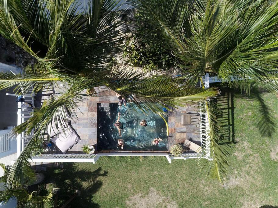 uma vista sobre uma piscina com palmeiras em Villa bord de mer au Moule em Le Moule