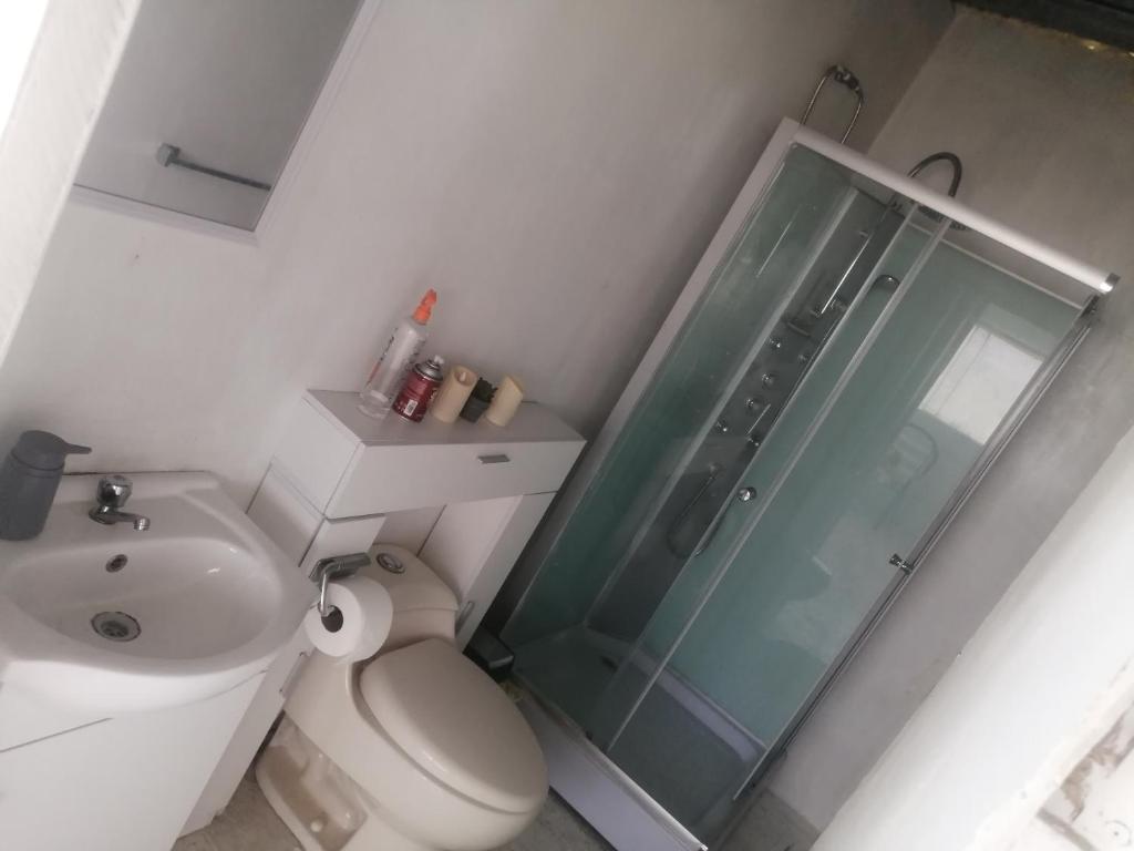 a bathroom with a shower and a toilet and a sink at Alma del mar caleta Grau in Tumbes