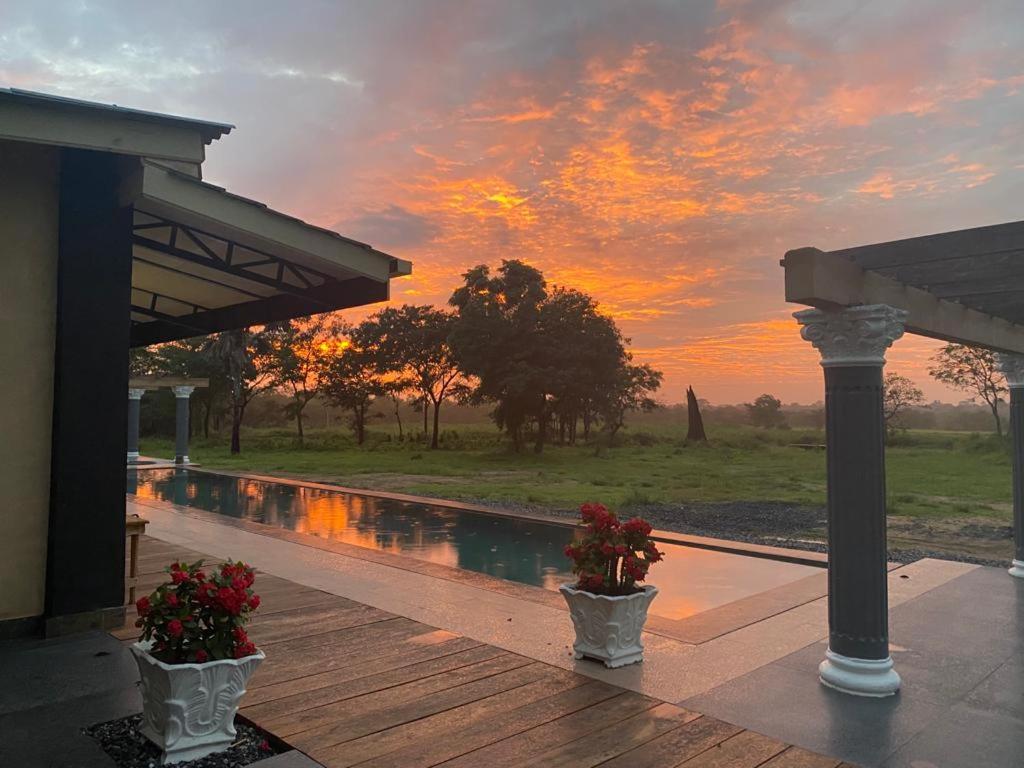 einen Sonnenuntergang über einem Pool mit zwei Topfpflanzen in der Unterkunft Villa BAOBAB 