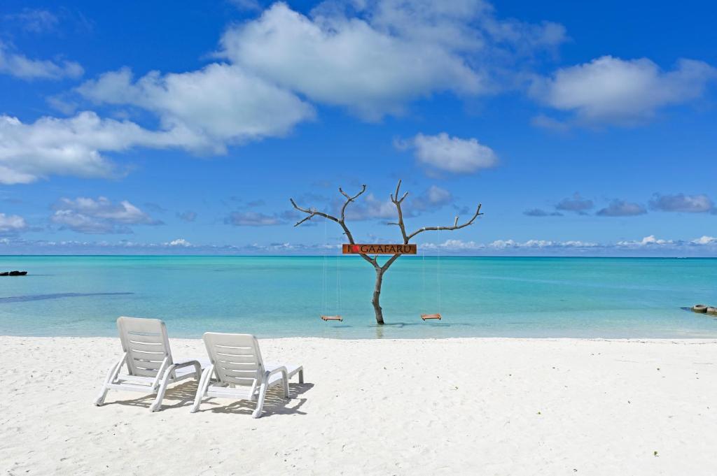 two chairs on a beach with a tree in the water at Niru Isle Maldives in Gaafaru