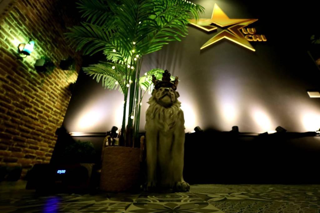 Fotografie z fotogalerie ubytování PENGHU Lucai B&B 旅采民宿 v destinaci Magong