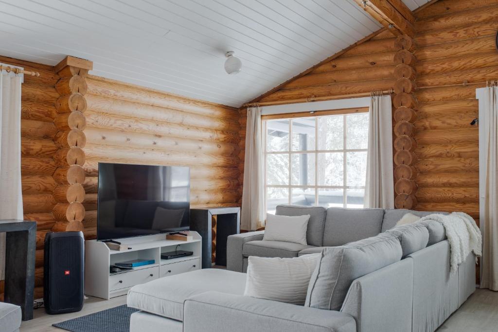 salon z kanapą i telewizorem w obiekcie Holiday in Lapland - Levisalmi A w mieście Levi