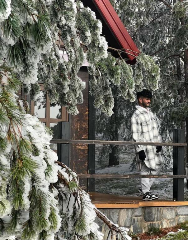 Previja Zlatibor Chalet v zimě