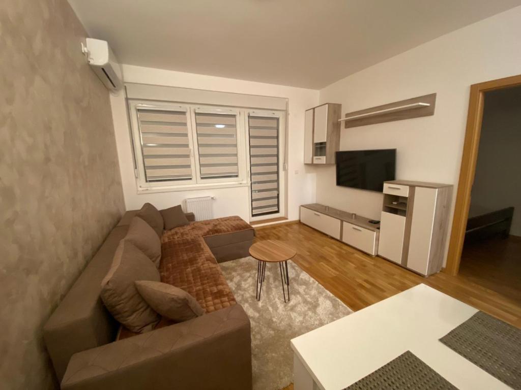 un soggiorno con divano e TV di SARA a Novi Sad
