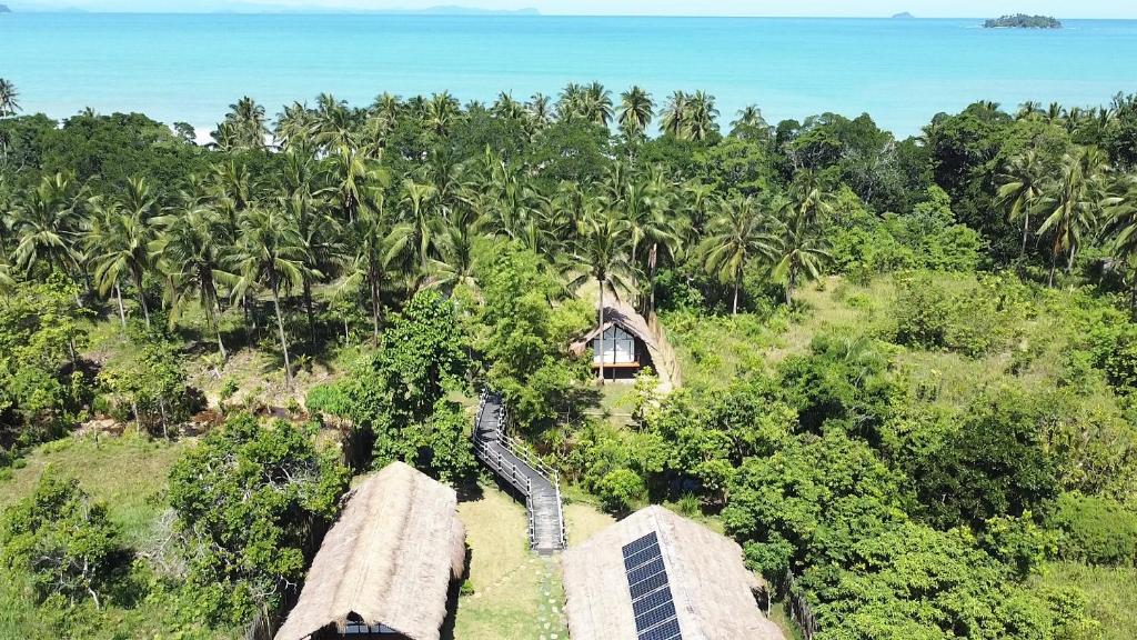 Binga Beach Palawan Glamping في San Miguel: اطلالة جوية على بيت في الغابة