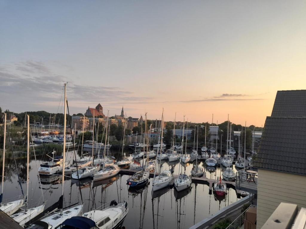 a bunch of boats are docked in a marina at Ferienwohnung Marina am Ryck in Greifswald