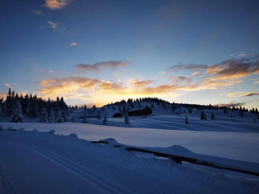 Starkenfeldhütte v zimě