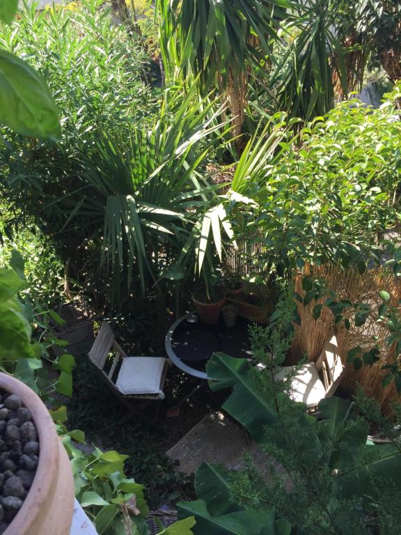 un jardin avec des plantes et une chaise au milieu dans l'établissement Charmante chambre privée 5/10 mn du CentreVille/Port-Jardin/Parking, à Nice
