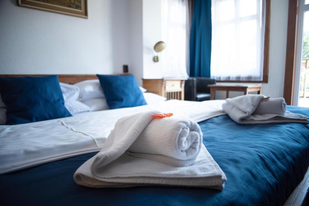 Hotel Jelinek - Resim 41