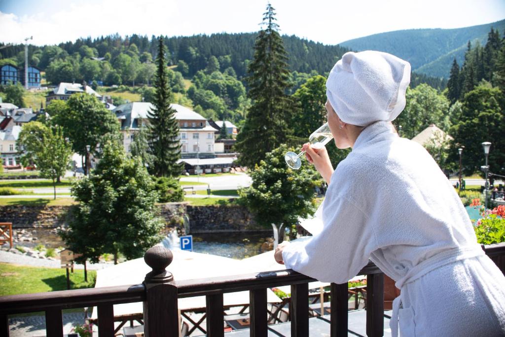 Hotel Jelinek - Resim 43