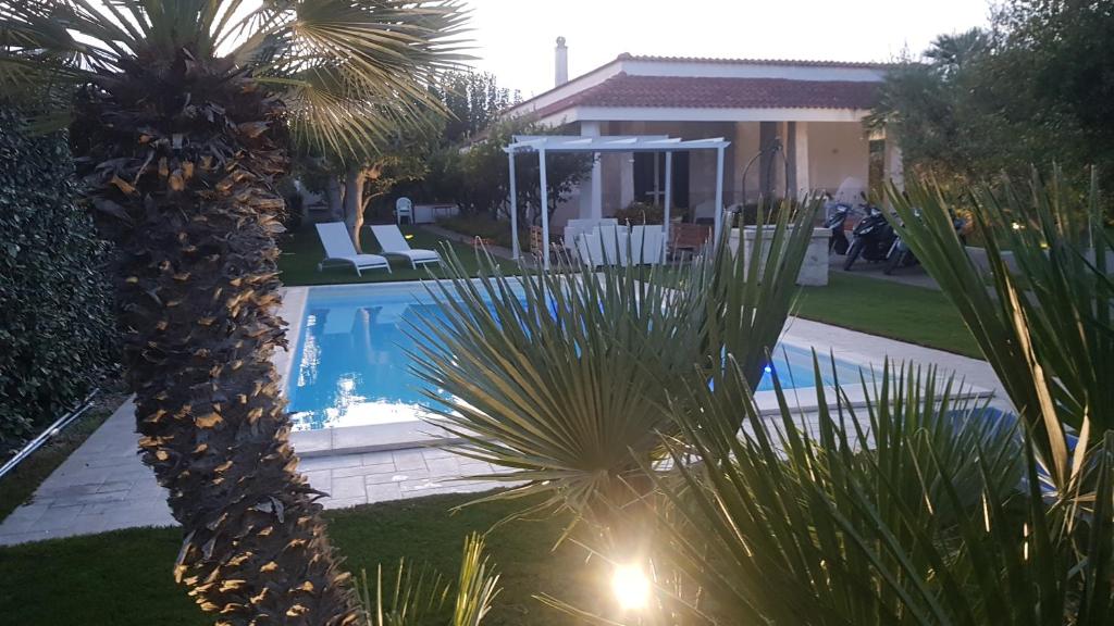 a palm tree in front of a swimming pool at Villa Brancasi con piscina in Brindisi