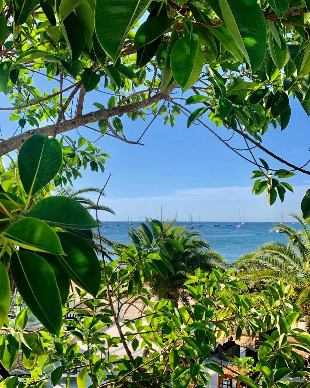 Hotel Tagomago, San Antonio Bay – Updated 2023 Prices