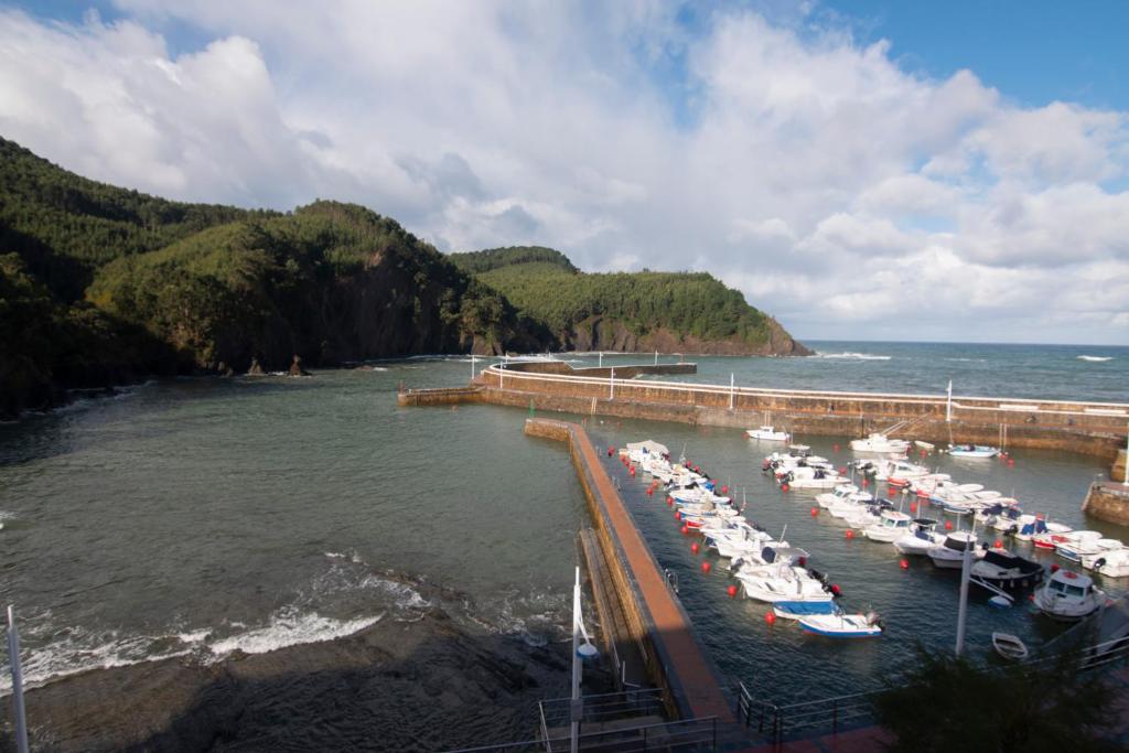 Un montón de barcos están atracados en un muelle. en Atsedenportua, en Arminza