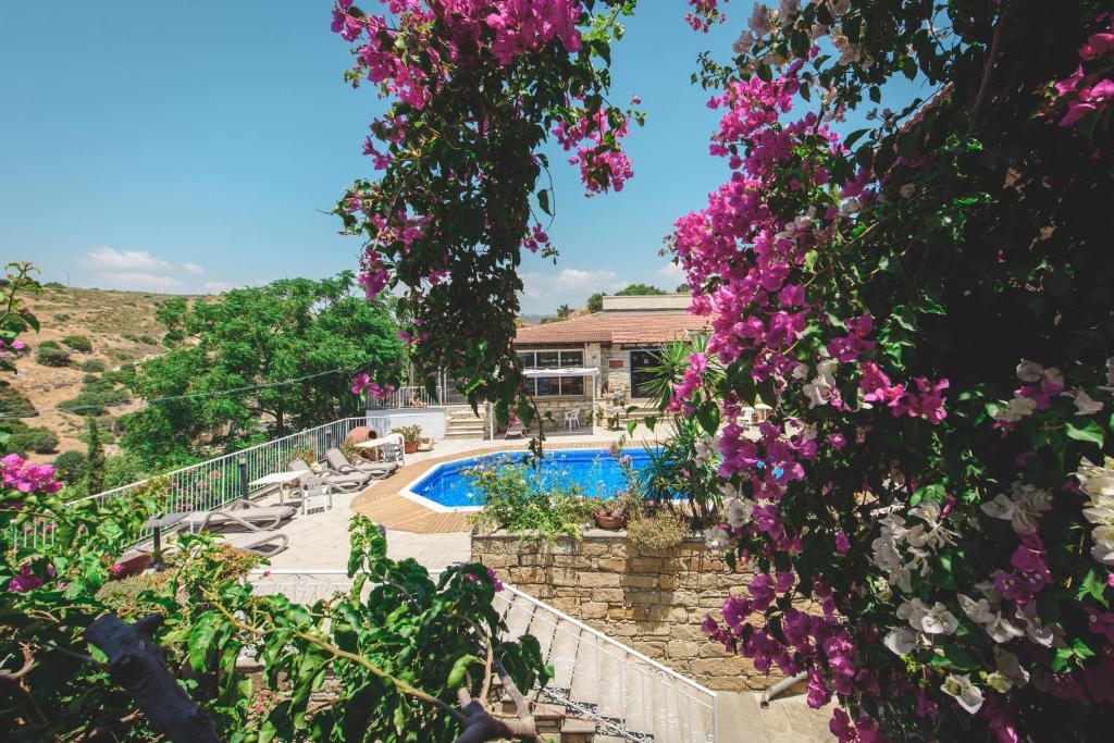 a house with a swimming pool and purple flowers at Cyprus Villages Hotel & Restaurant - Central Location - Bed & Breakfast - With Access To Pool And Stunning Views in Tochni