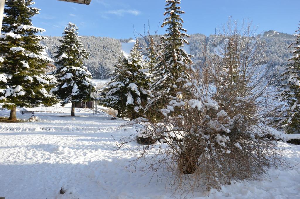 VILLARD DE LANS v zime
