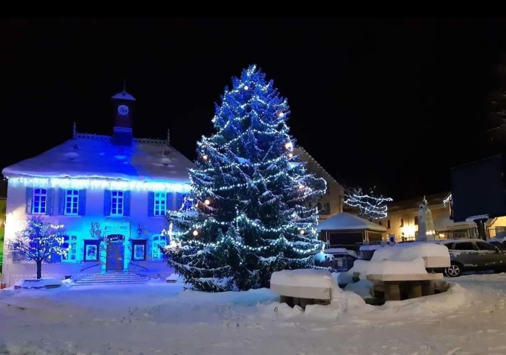 VILLARD DE LANS v zime