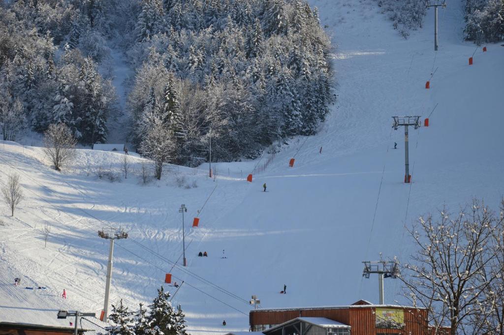 VILLARD DE LANS v zime