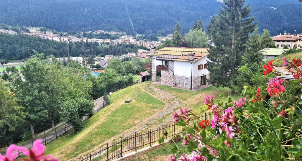 Příroda nedaleko apartmánu