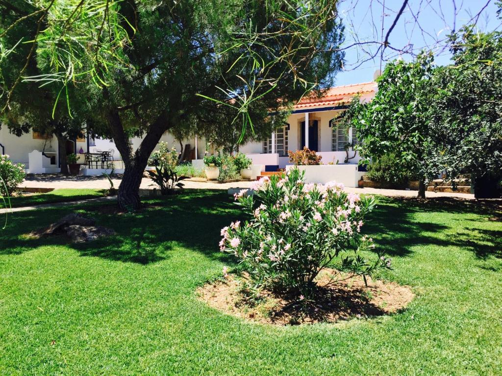 een tuin met een boom en een huis bij Vale de Camelos Country House, Alentejo, Portugal. in Alcaria Ruiva