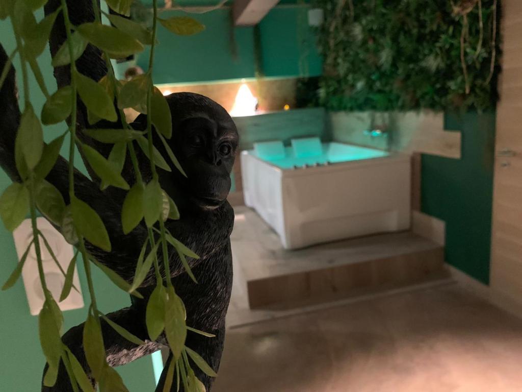 The secrets jungle loveroom – photo 10