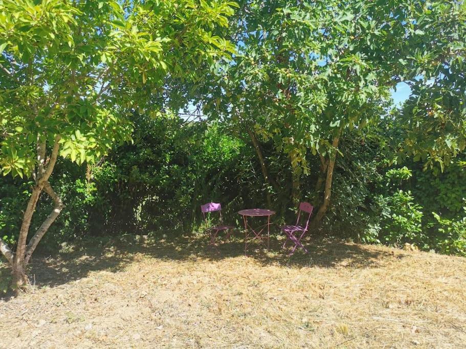 Zahrada ubytování Le Chalet de Malause