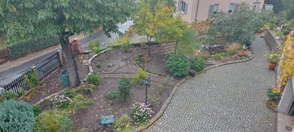 Zahrada ubytování Winzerhaus Rissweg 15