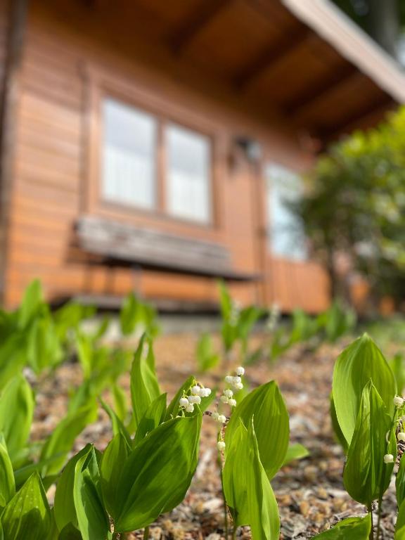 Zahrada ubytování Forsthaus Langenberg