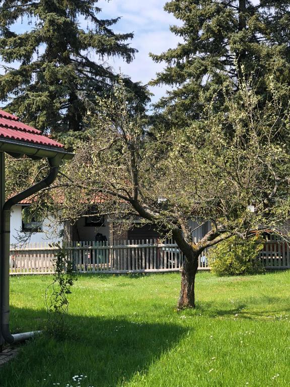Zahrada ubytování Casa „Ella“