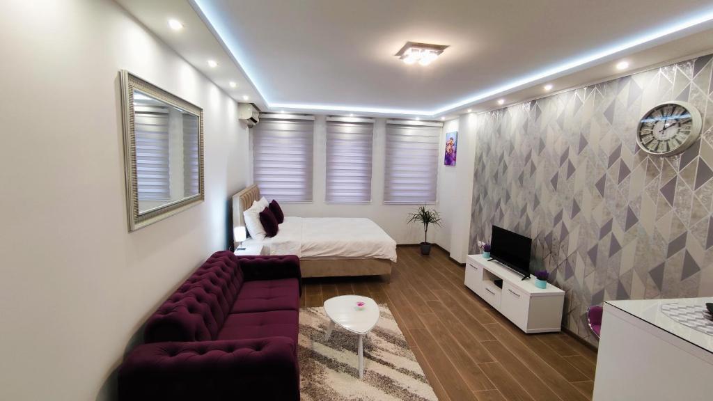 Apartman Vivaldi - CENTAR في Vrnjačka Banja: غرفة معيشة مع أريكة وسرير