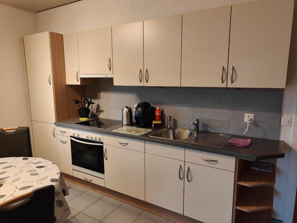 a kitchen with white cabinets and a sink at Studio Dante in Le Noirmont