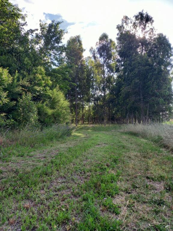 Cabaña El Encuentro