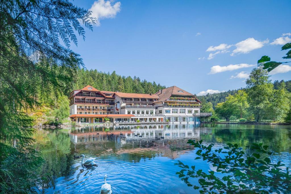ein großes Gebäude am Wasser eines Sees in der Unterkunft Hotel Langenwaldsee in Freudenstadt
