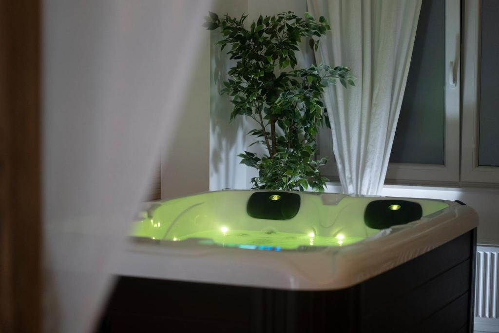 un baño con un lavabo verde con una planta. en Spa Palawan privé avec jacuzzi et sauna Liège, en Lieja