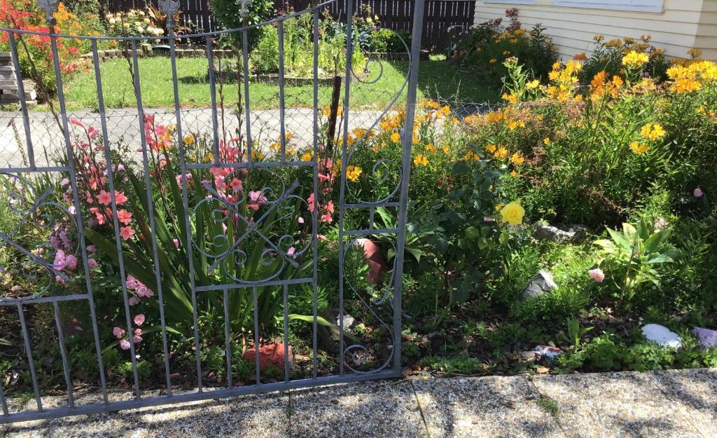 Adorable 1-bedroom guesthouse with a deck - Resim 13