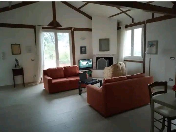 Roomsfree!!!! - Housity