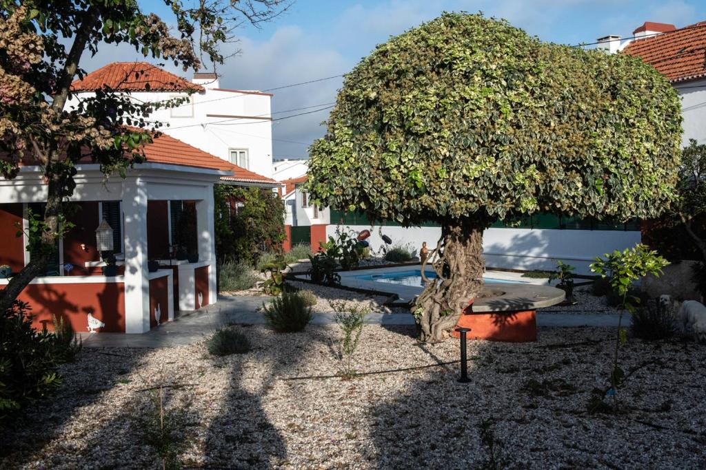 een boom in een tuin naast een huis bij Casa Flamingo in Foz do Arelho