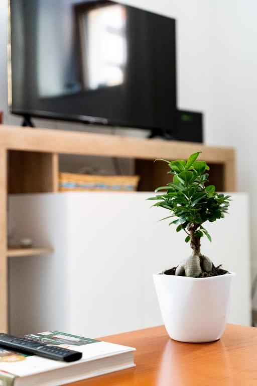 TV a/nebo společenská místnost v ubytování Spacious 3-Bedroom Apartment with Courtyard in Tempio Pausania - Perfect for Families