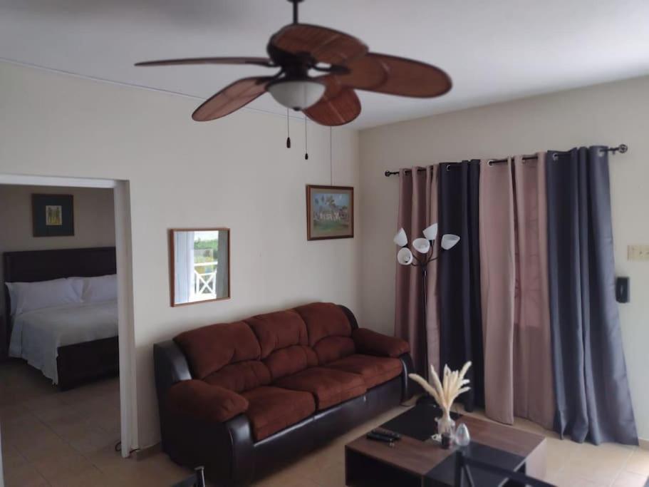 Posezení v ubytování Club Caribbean Apartments