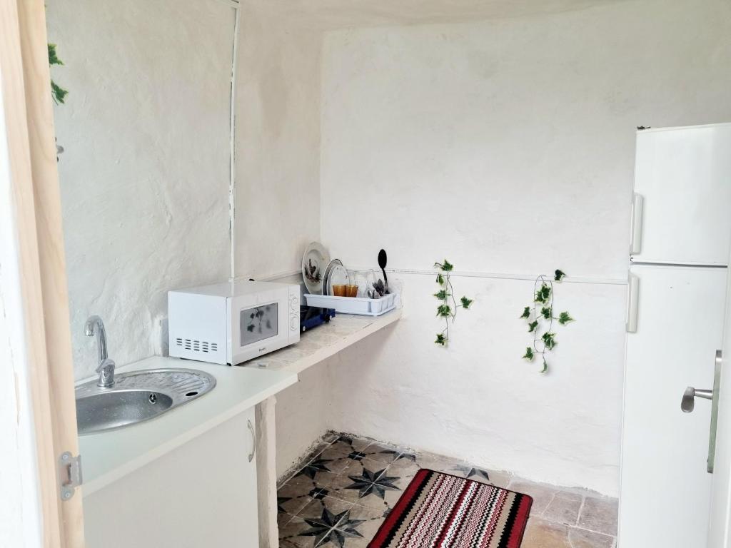a small kitchen with a sink and a microwave at Apartamentos La Cueva in Paterna