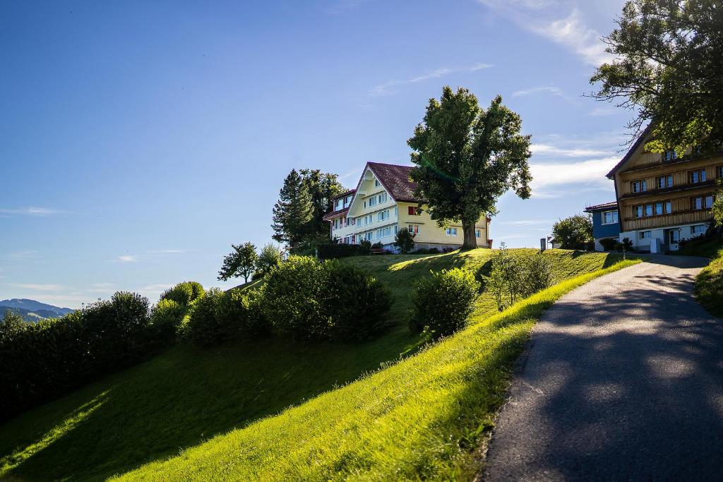 uma casa no topo de uma colina relvada com uma estrada em Gästehaus Aemisegg em Sankt Peterzell