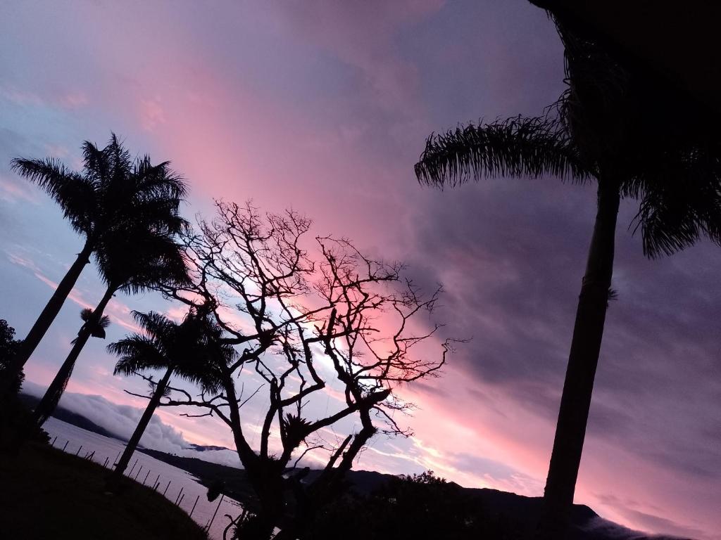 een zonsondergang met palmbomen op de voorgrond bij Faera Hostel in Darién