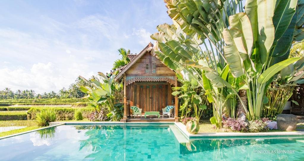 a villa with a swimming pool and a house at Hati Padi Cottages in Ubud