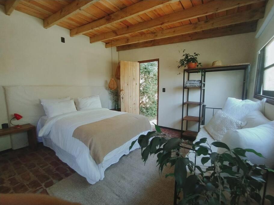 ein Schlafzimmer mit 2 Betten und einer Pflanze in der Unterkunft Cálido Bungalow 3 - La Locanda casitas vivas - in Balneario Buenos Aires